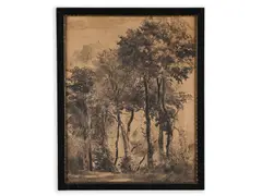 Karel Vik, A Study of Trees, First half of 20th century, Charcoal, paper