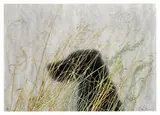 Ed Ruscha, Dog, 1994-1995, Mixografia on handmade paper