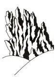 Ken Price, Untitled, 2006, Ink on museum board