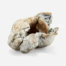 Yuji Ueda, Untitled, c. 2019, partially glazed anagama-fired stoneware