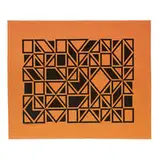 Alexander Girard, Geometric B Environmental Enrichment Panel