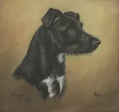 Frank Prosser, Untitled, pastel 37x 37cm