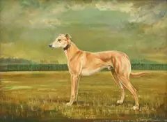 Carolyn Alexander, Untitled, oil on board 40 x 60cm Provenance : The property of Dame Margot Smith