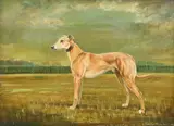 Carolyn Alexander, Untitled, oil on board 40 x 60cm Provenance : The property of Dame Margot Smith