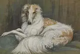 Stella Crofts, Untitled, lying down pastel 25 x 37cm .