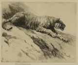 Herbert Dicksee, Untitled, crouching down on a rocky hillside etching
