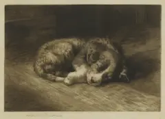 Untitled by Herbert Dicksee, puppy sleeping soundly etching on vellum, sold Jun 2021