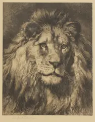 Untitled by Herbert Dicksee, full face early etching on paper, sold Jun 2021
