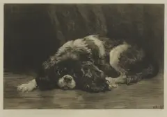 Herbert Dicksee, Untitled, patiently waiting dry point etching on vellum
