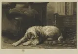 Herbert Dicksee, Untitled, 2 January 1911 etching on vellum