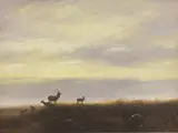 John Trickett, Untitled