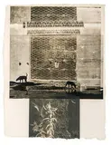 Robert Rauschenberg, Lily Scent (from Eight Lithographs to Benefit the Foundation for Contemporary Performance Arts, Inc., 1981, 4-color lithograph on HMP Koller handmade cream paper