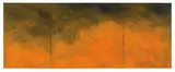 Joe Goode, Forest Fire #64