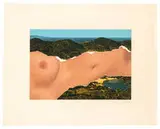 Saint Martin Landscape by Ellsworth Kelly, 1976-1979, Lithograph and screenprint with collage on 350-gram Arches 88 paper and white Rives Satine paper, sold Oct 2019