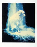 William Wegman, Portfolio (Bad Dog, Dusted, Elephant) (3)