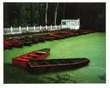 Cole Weston, Think of Color as Form Portfolio, 1983-1988, The complete portfolio of 10 Cibachrome prints