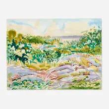 Nell Blaine, Rocks and Summer Grasses, 1982, watercolor on paper
