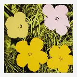 Andy Warhol, Flowers