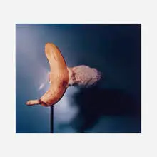 Bullet through Banana by Harold Eugene Edgerton, 1964, c-print, sold Jul 2019