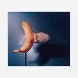 Harold Eugene Edgerton, Bullet through Banana