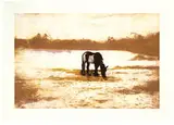 Peter Doig, Pinto (from 100 Years Ago)