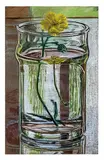 Janet Fish, Buttercup