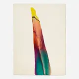 Paul Jenkins, Phenomena for Essex
