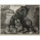 John Steuart Curry, Stallion and Jack Fighting, 1943