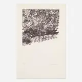 Bruce Conner, #109, 1970, offset lithograph on paper