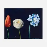 Paul Wonner, Three Flowers, 1987-88, acrylic on paper