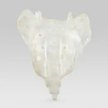 Kiki Smith, Tail, 1997, kiln-cast lead crystal