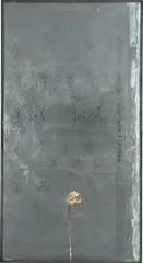 Anselm Kiefer, Saint Just, 1989, Amaryllis und Kohle auf Blei, im Künstlerrahmen aus Stahl und Glas