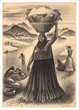 Miguel Covarrubias, Tehuantepec River