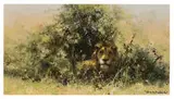David Shepherd, The King of the Plains, Oil on canvas