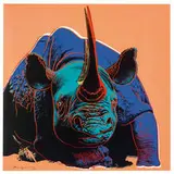 Black Rhinoceros (from Endangered Species Portfolio) by Andy Warhol, 1983, Screenprint on Lenox Museum Board, sold May 2019