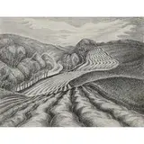 Wanda Gág, Ploughed Fields, 1936