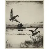 Frank Weston Benson, Two Black Ducks, 1930