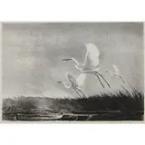 Victoria Hutson Huntley, Andante, 1963