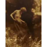 Charles J. Cook, Nudes in Woodland Landscapes (five works in a portfolio)