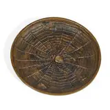 Edward Timothy Hurley, tray with a black widow spider and moths in web