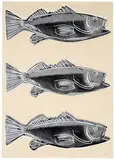 Fish by Andy Warhol, 1983, Screenprint on wallpaper, sold Feb 2019