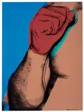 Muhammad Ali by Andy Warhol, 1978, Screenprint on Strathmore Bristol paper, sold Feb 2019