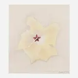 Joseph Stella, Hibiscus