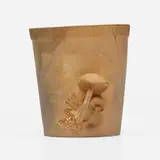 Cabinet vase with mushrooms by Alexander W. Robertson and Linna Irelan for Roblin Pottery, 1905, bisque earthenware, sold Apr 2024