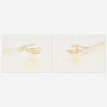 Jamie Isenstein, Untitled (diptych), 2008, watercolor and pencil on paper