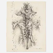 Theodore Roszak, Wild Blossom, 1953, ink on paper