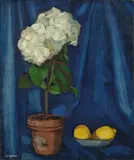 Tamara de Lempicka, Bouquet d'hortensias et citron, Um 1922, Öl auf Leinwand