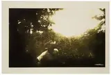 Peter Doig, Drifter (from 100 Years Ago)