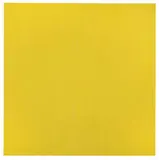 Joseph Marioni, Opus 15: Birth of Yellow Light #5 (First Performance)