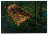 Suzanne Caporael, Stray, 1985, Oil on canvas